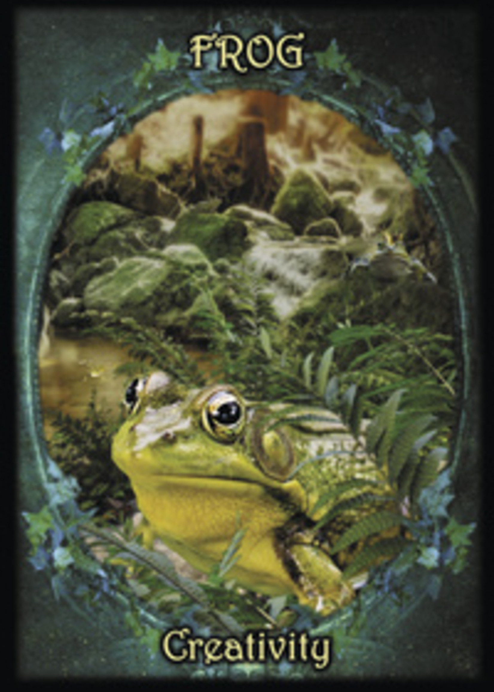 Witches Familiars Oracle Cards