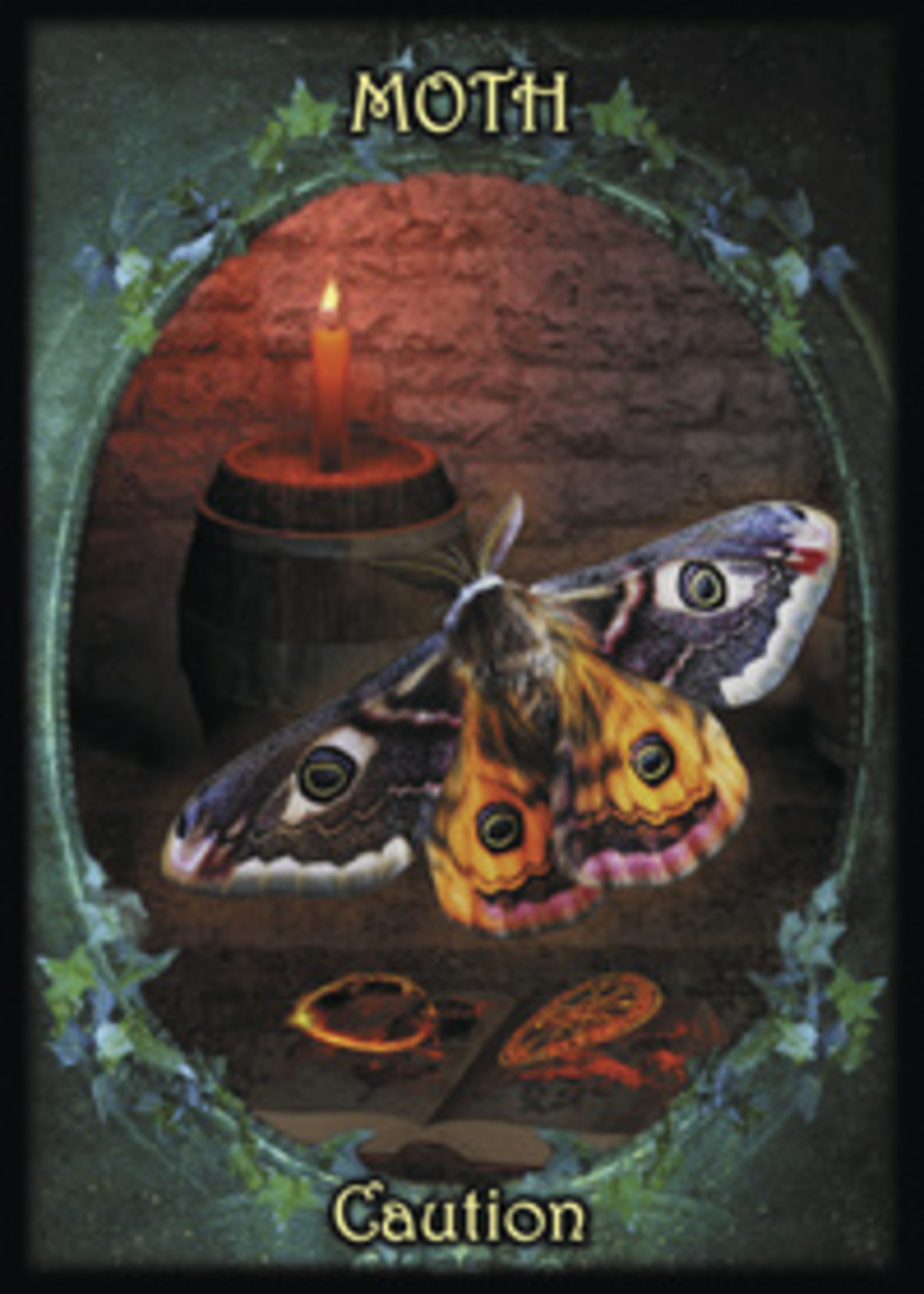 Witches Familiars Oracle Cards