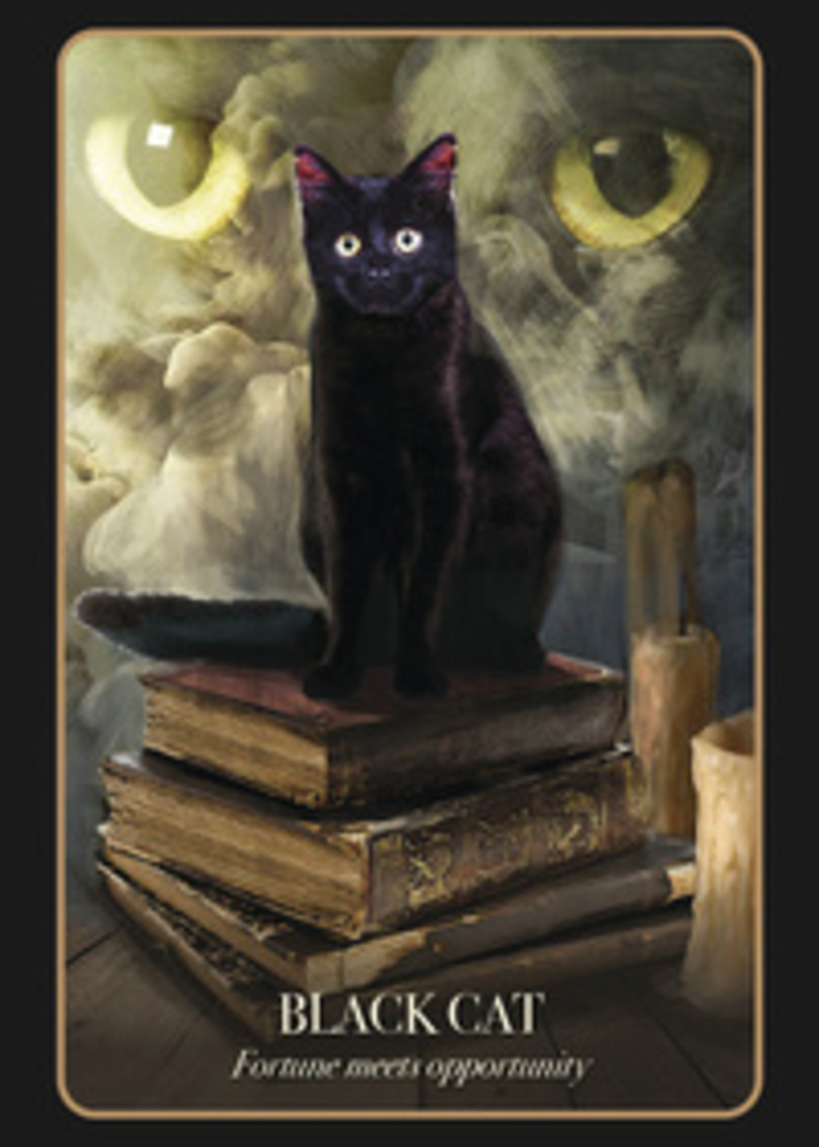 Llewellyn Publications The Halloween Oracle Cards