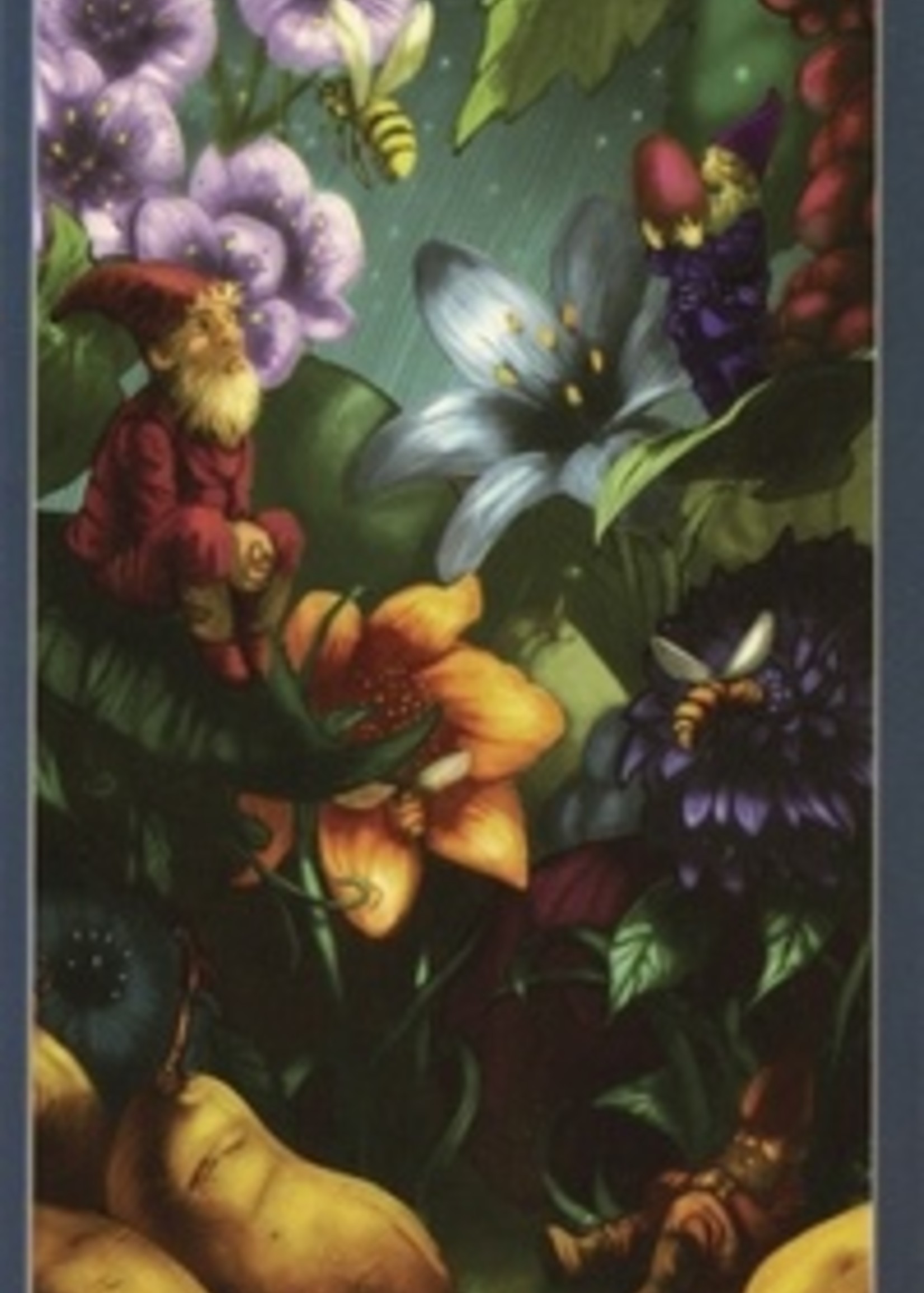 Llewellyn Publications The Book of Shadows Complete Edition Kit