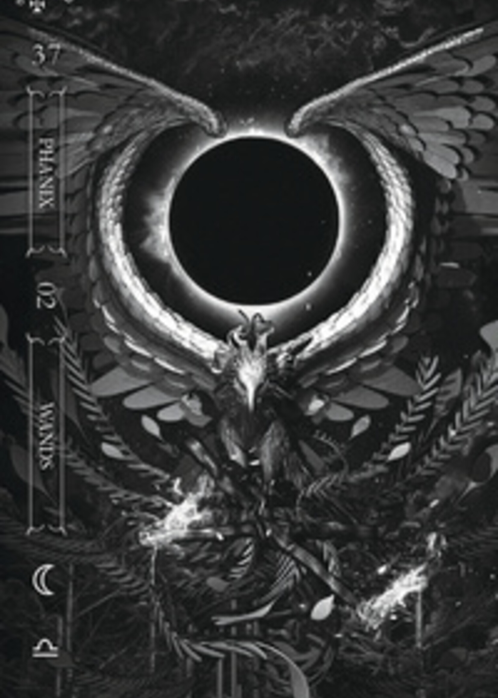 Llewellyn Publications Goetia:  Tarot in Darkness Deck