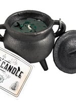 Cast Iron Cauldron with Eucalyptus Smudge Candle 4'