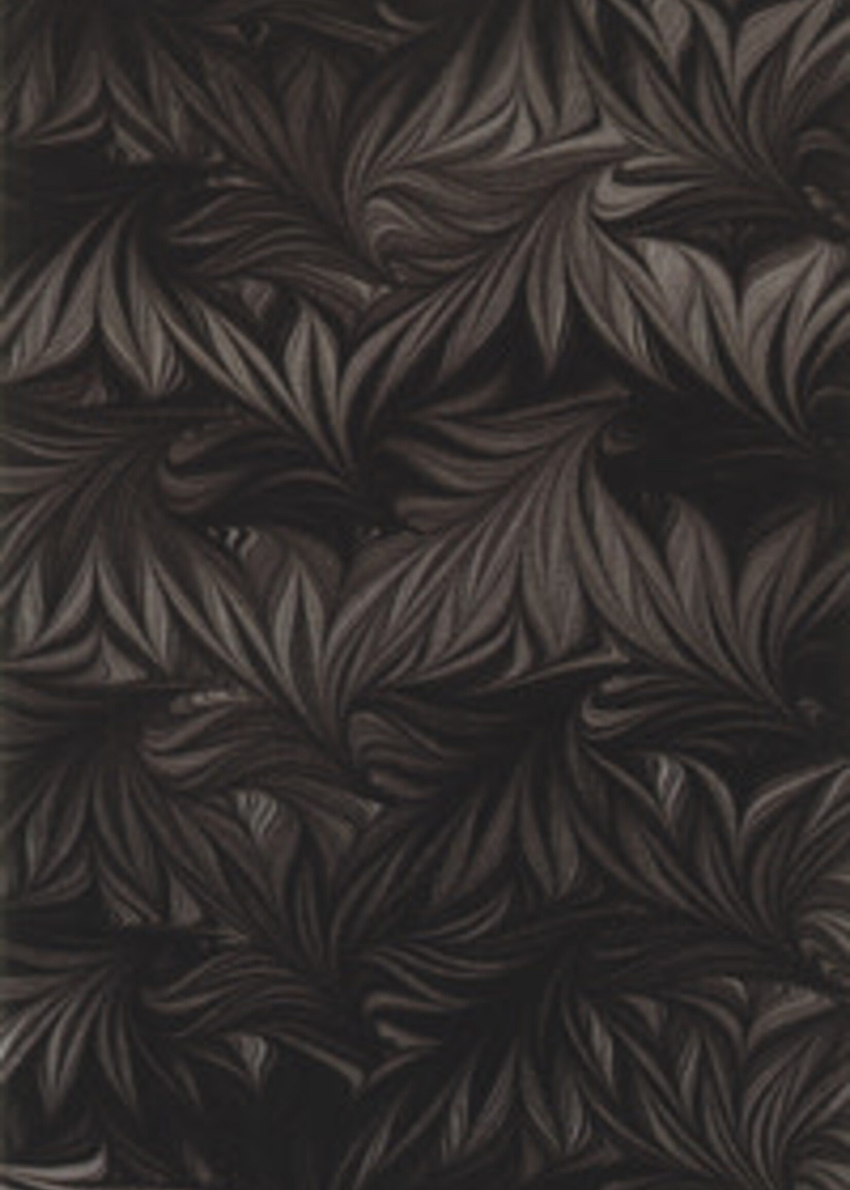 Llewellyn Publications FAVOLE TAROT (78-card deck & instruction booklet)