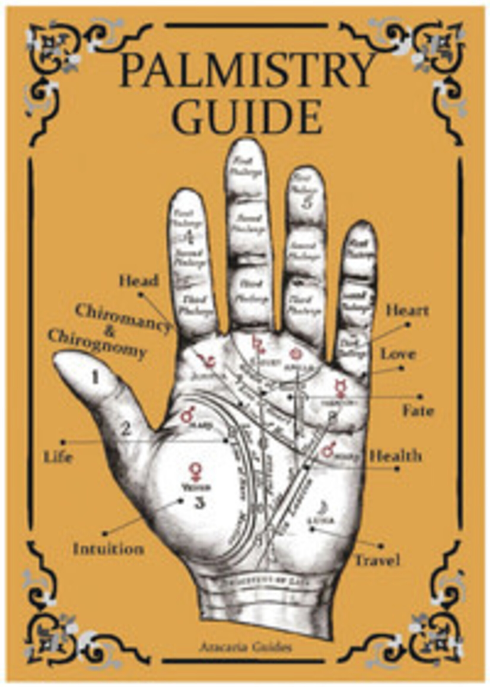 Palmistry Laminated Guide