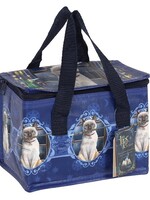 Hocus Pocus Lunch bag