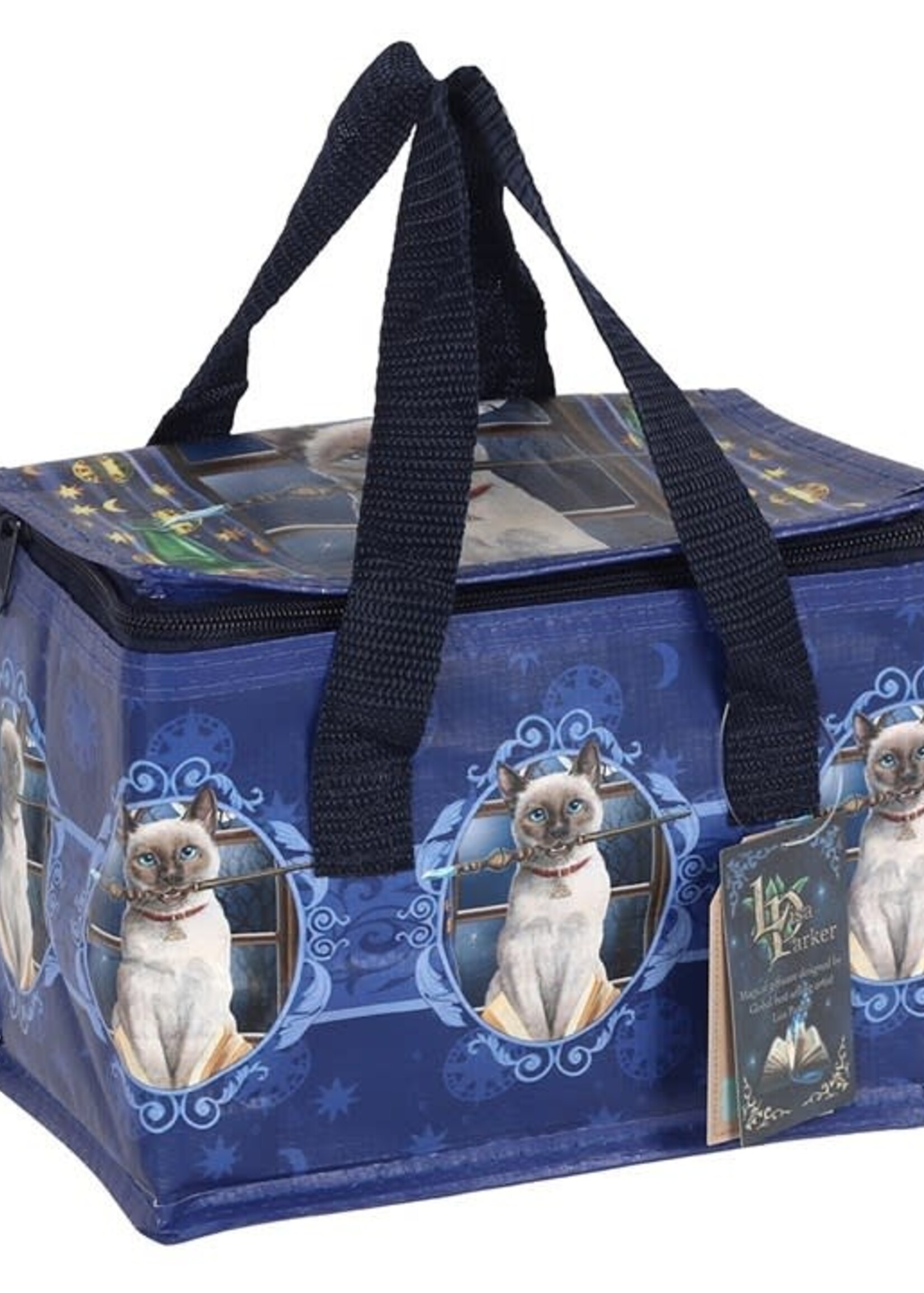 Hocus Pocus Lunch bag