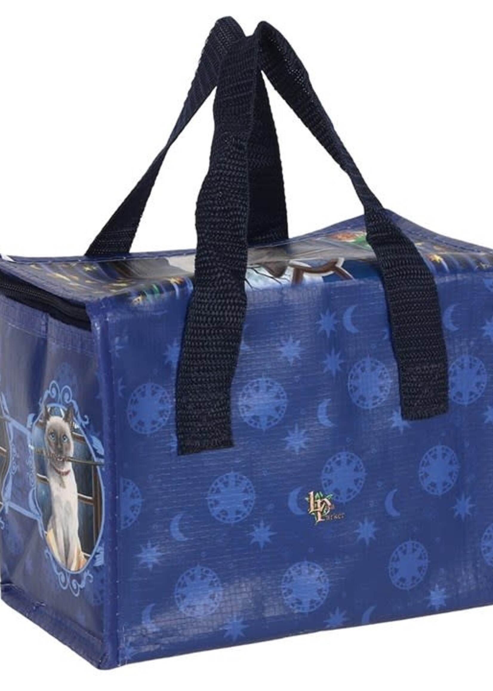 Hocus Pocus Lunch bag