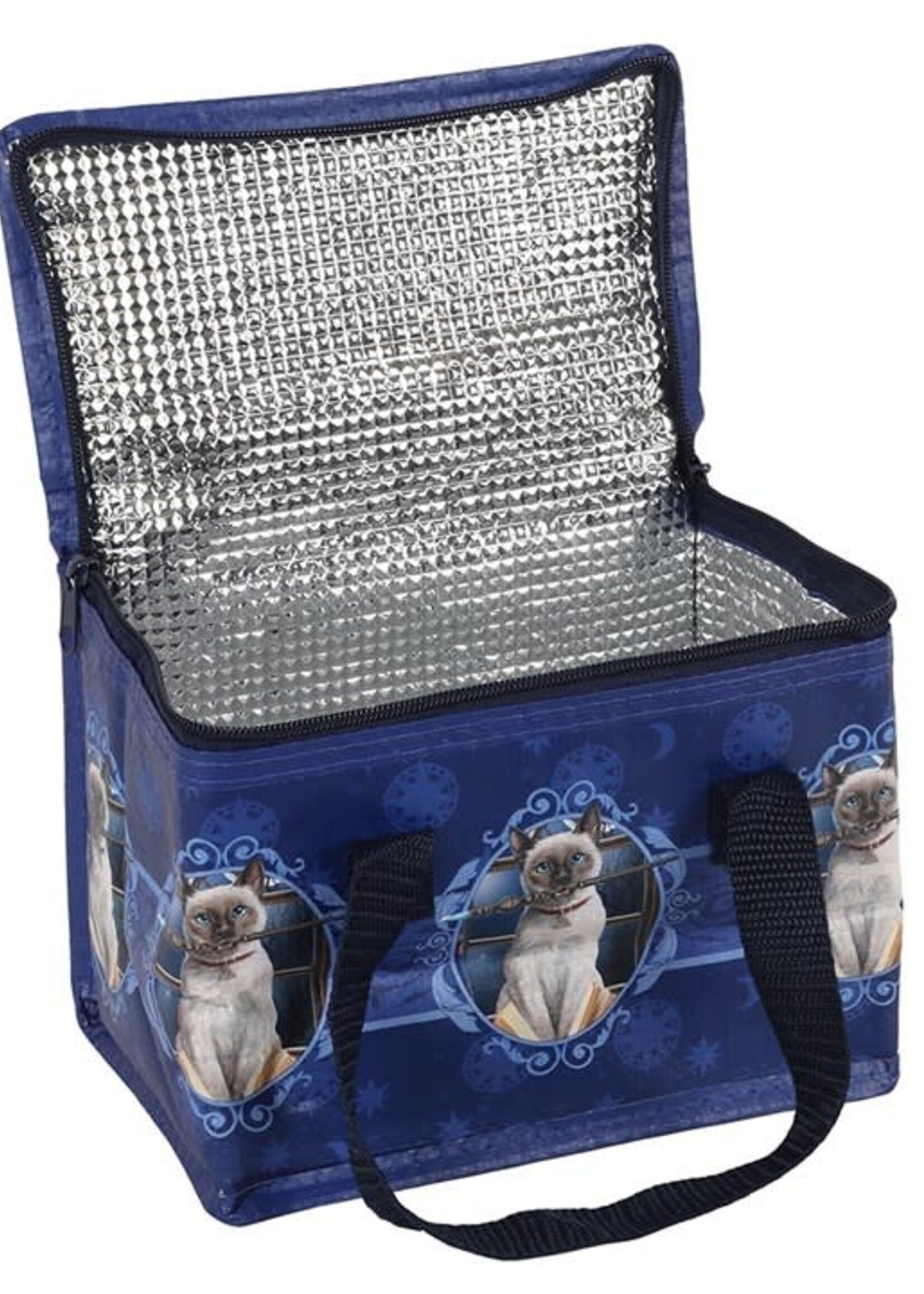 Hocus Pocus Lunch bag