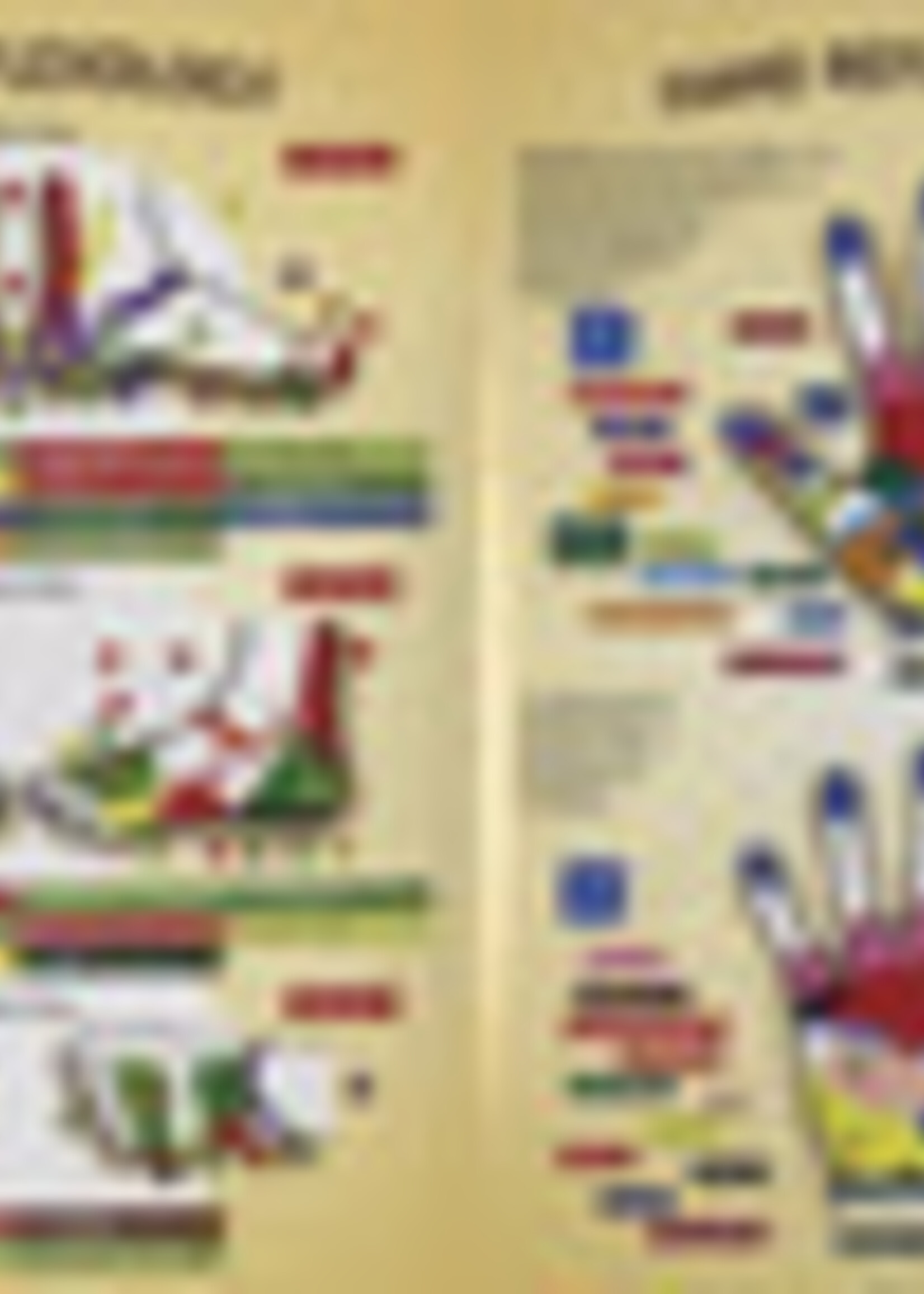 Reflexology Laminated Guide