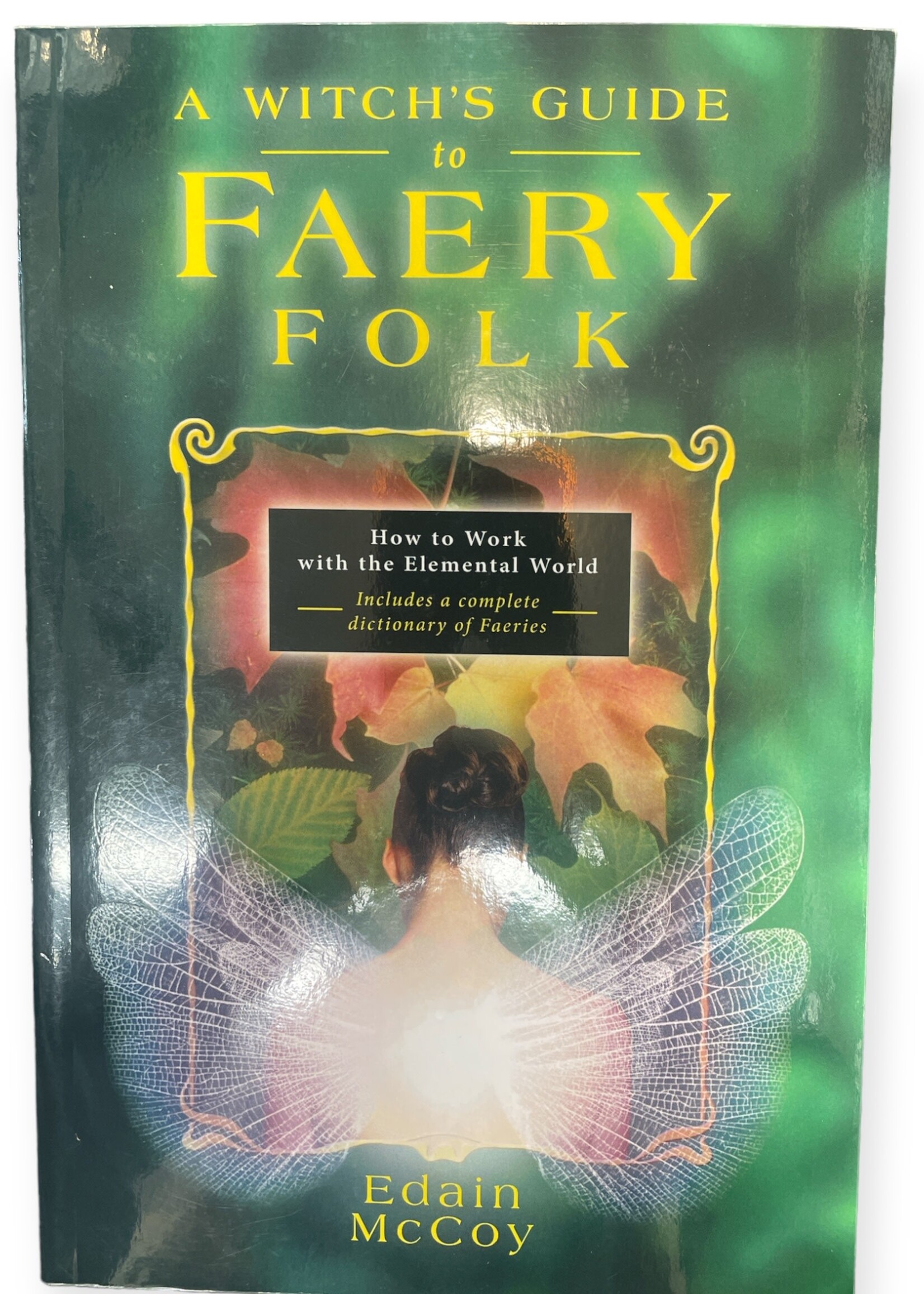 A Witch's Guide to Faery Folk