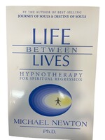 Life Between Lives