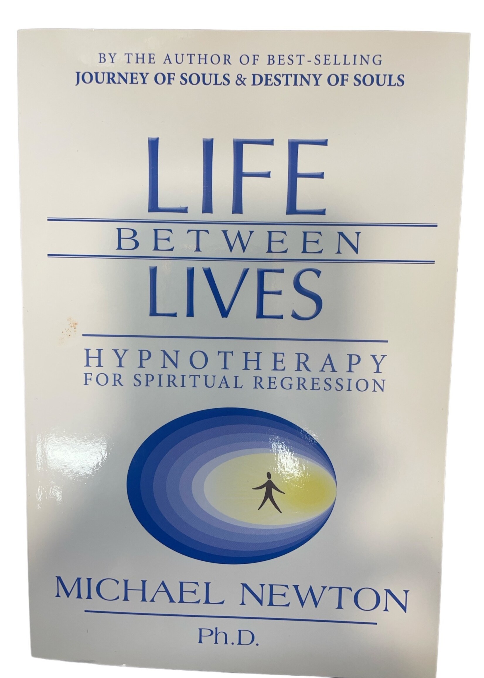 Life Between Lives