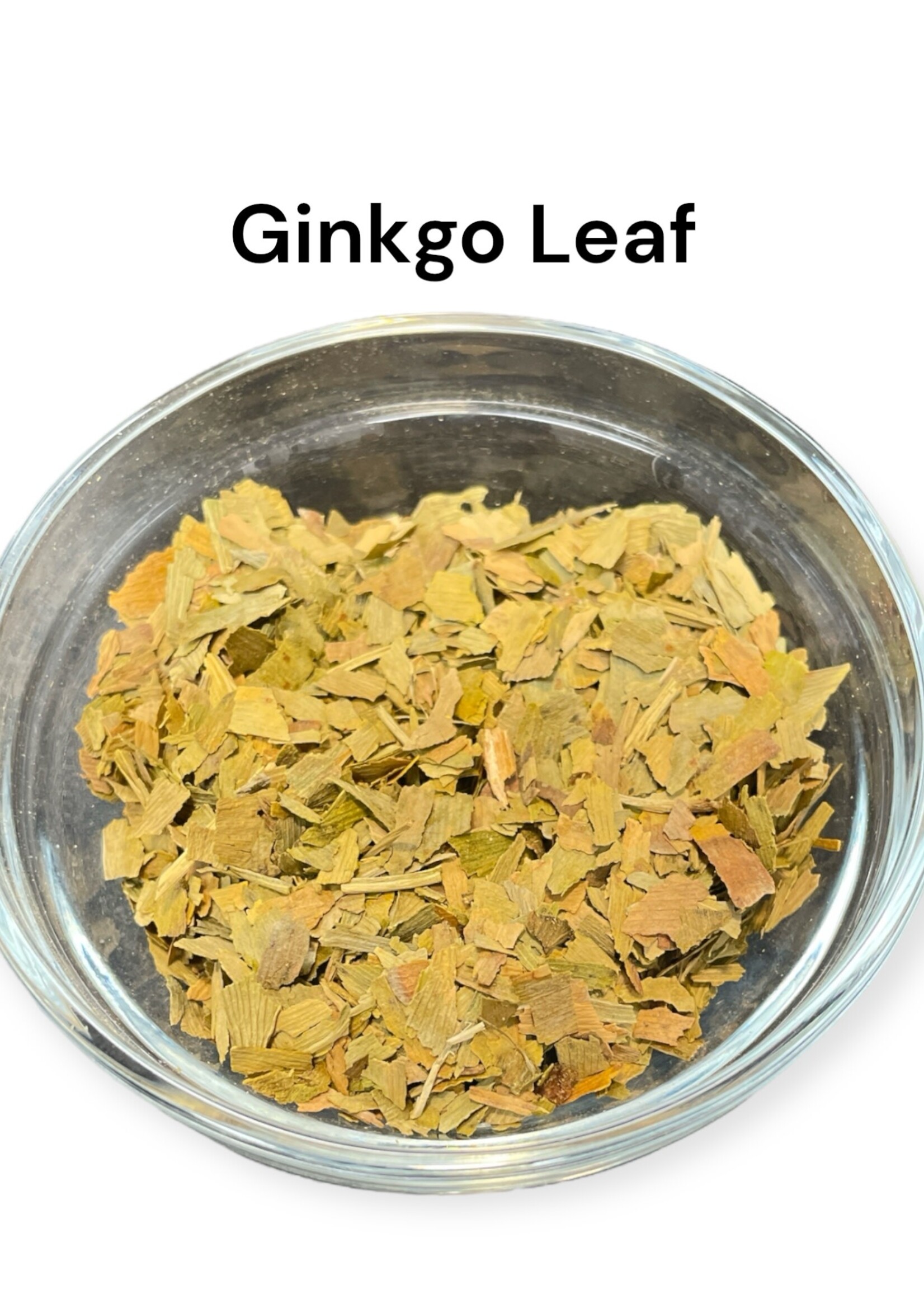 Ginkgo Leaf Herb