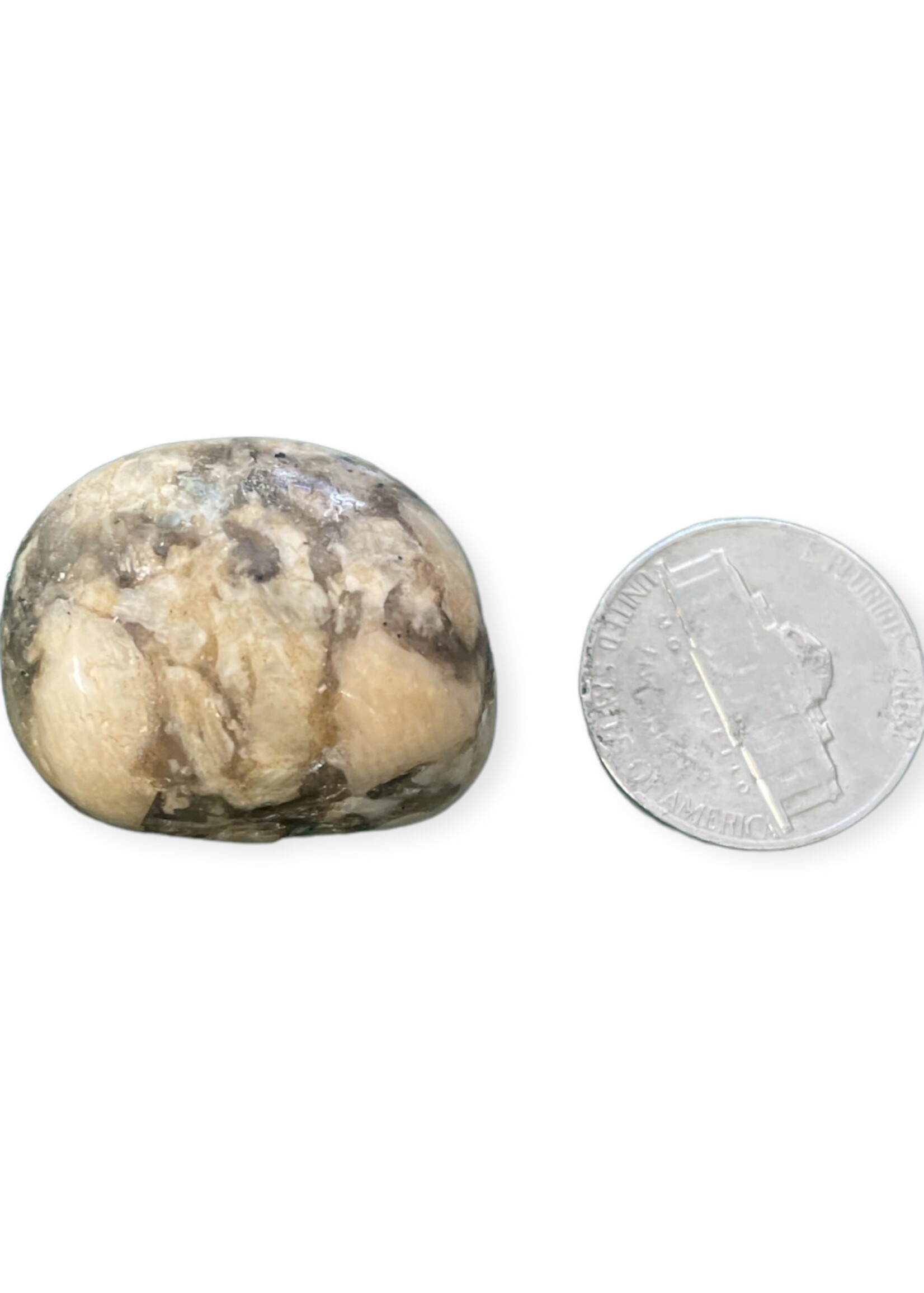 Zebra Moonstone  Tumbled Stone