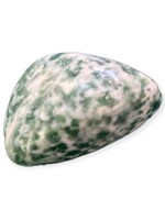 Tree Agate Tumbled Stone