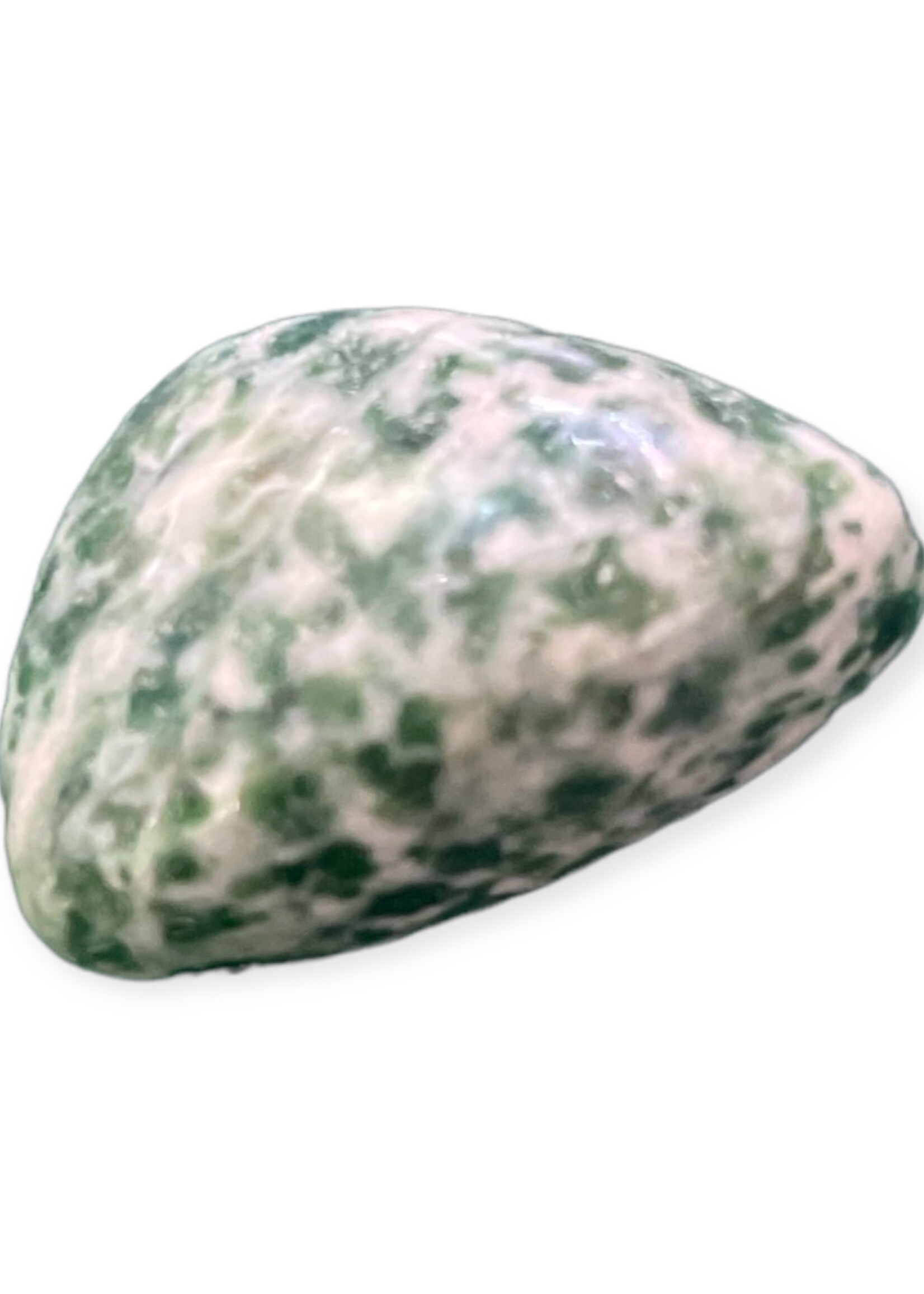 Tree Agate Tumbled Stone