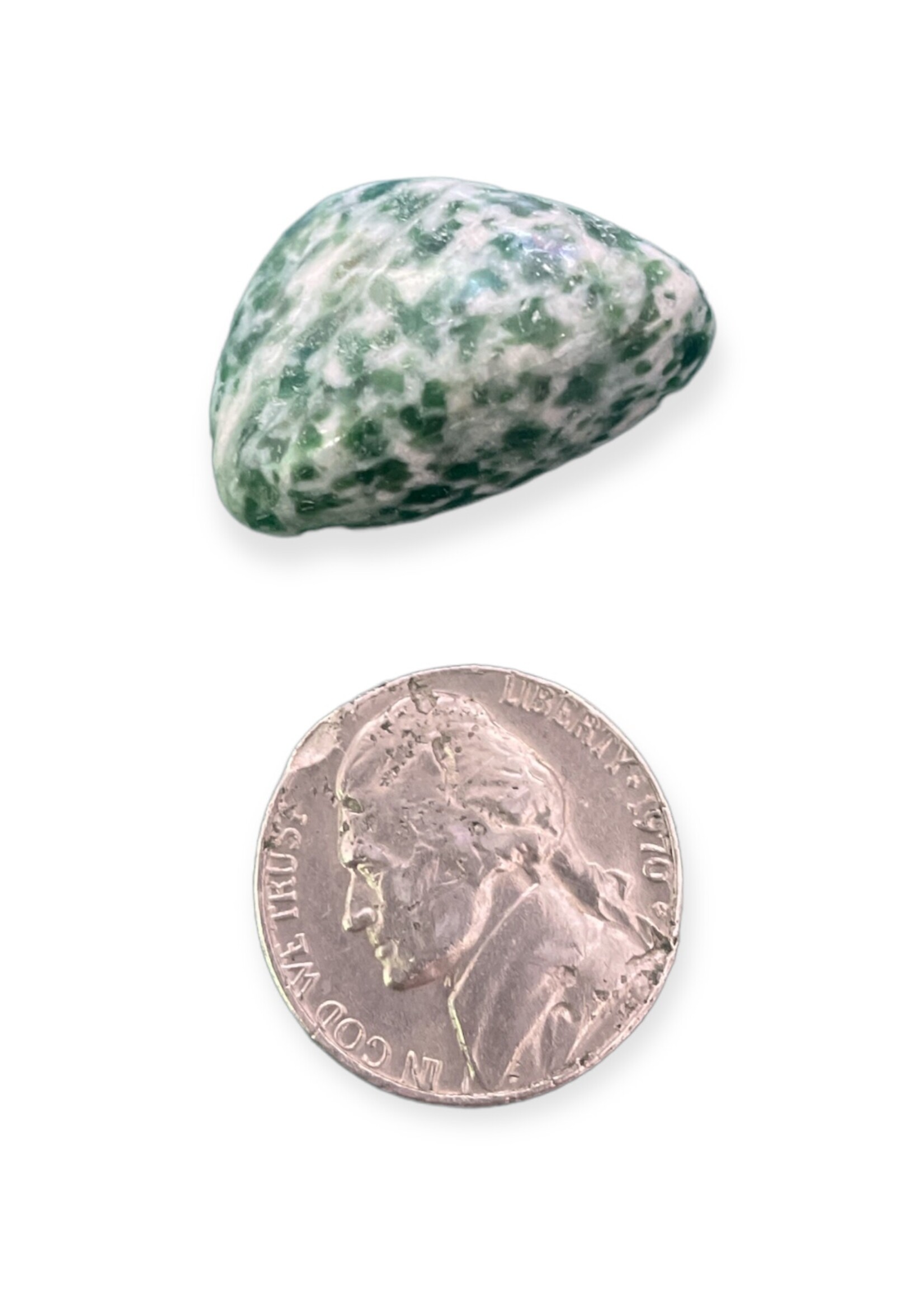 Tree Agate Tumbled Stone