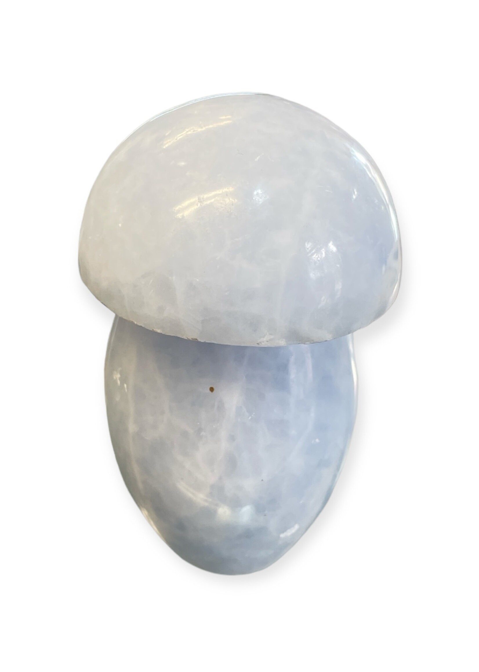 Blue Calcite Mushroom