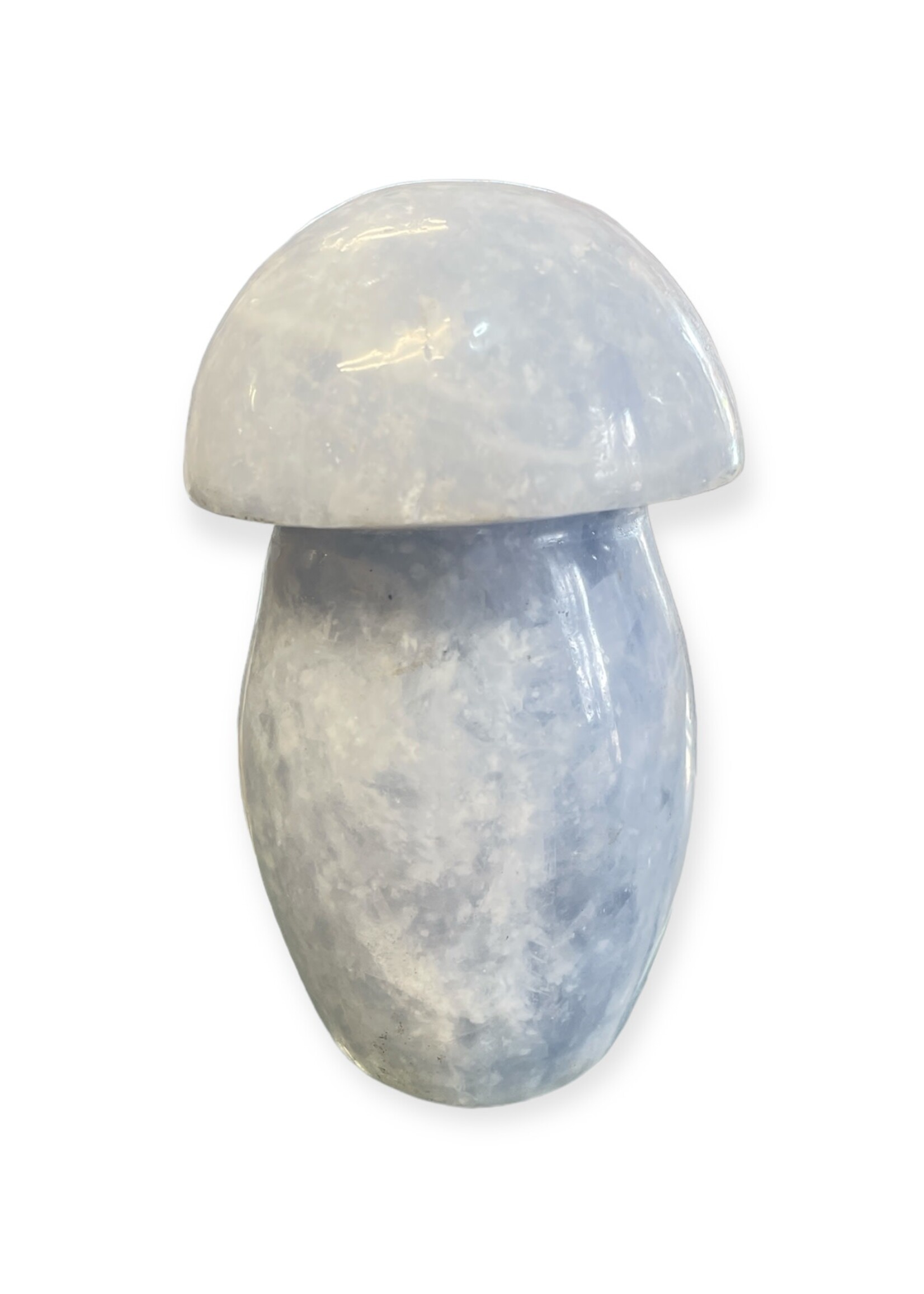 Blue Calcite Mushroom