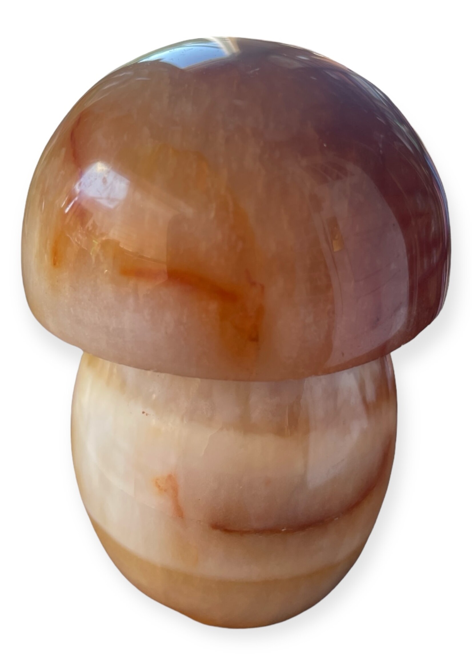 Carnelian Mushroom