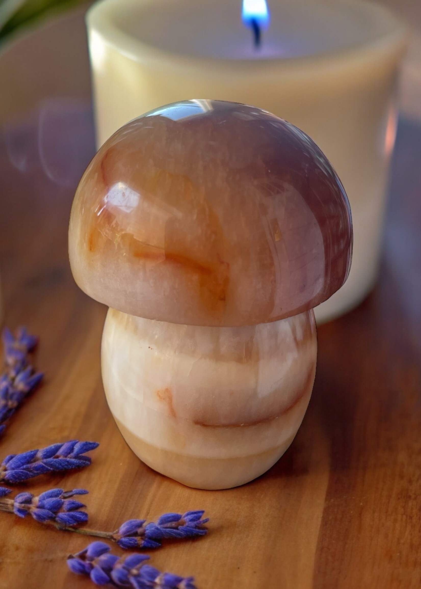 Carnelian Mushroom