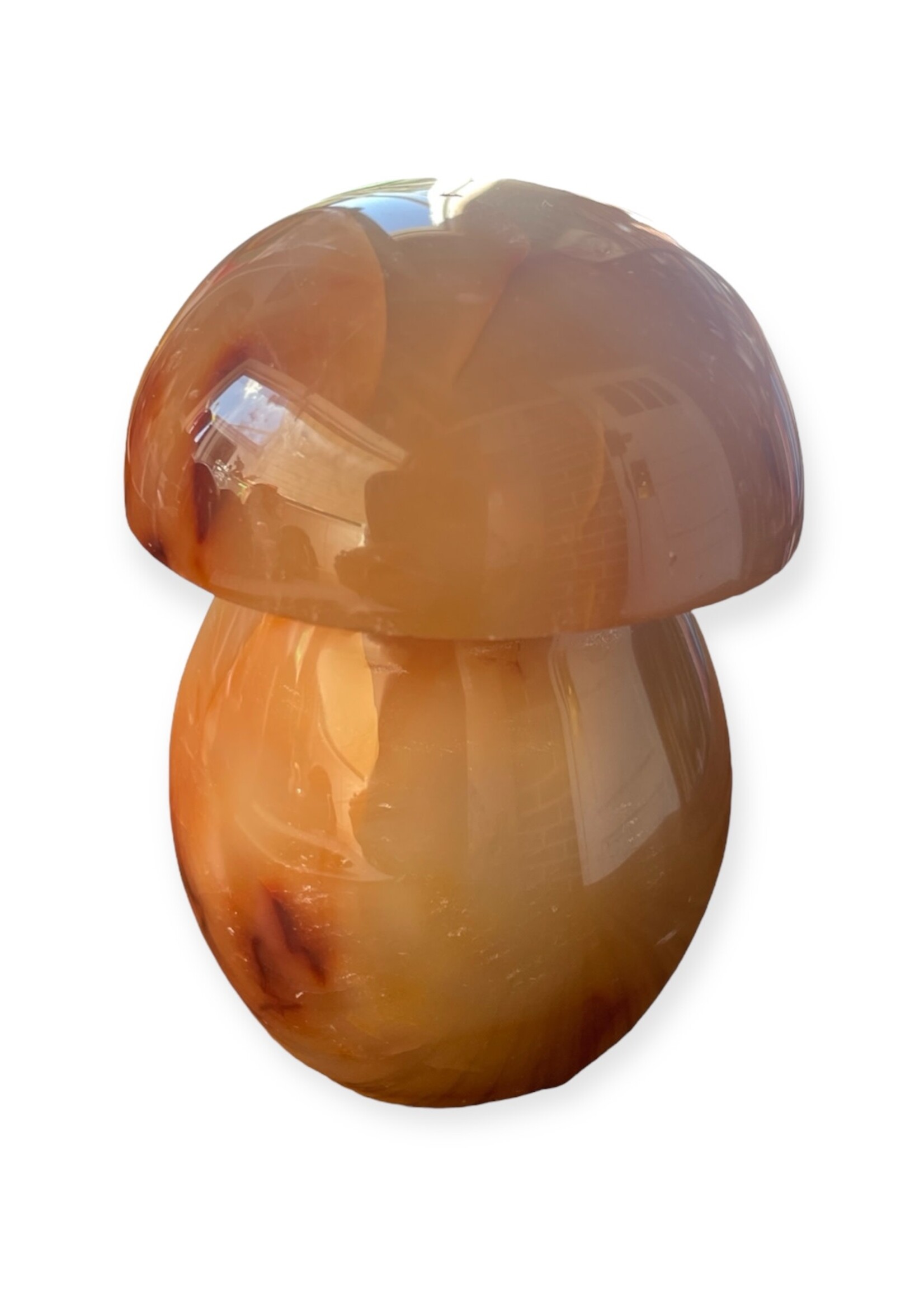 Carnelian Mushroom