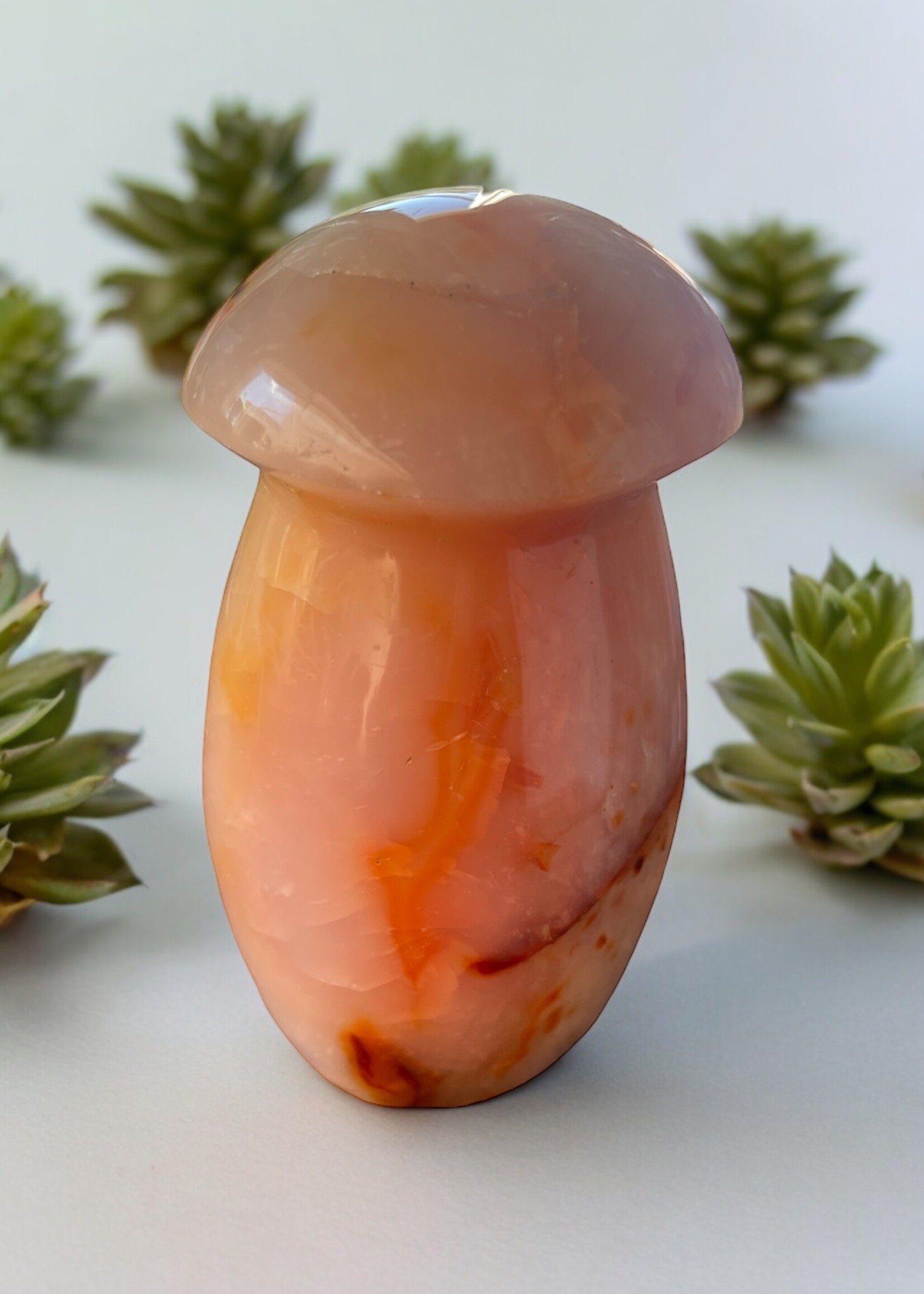 Carnelian Mushroom