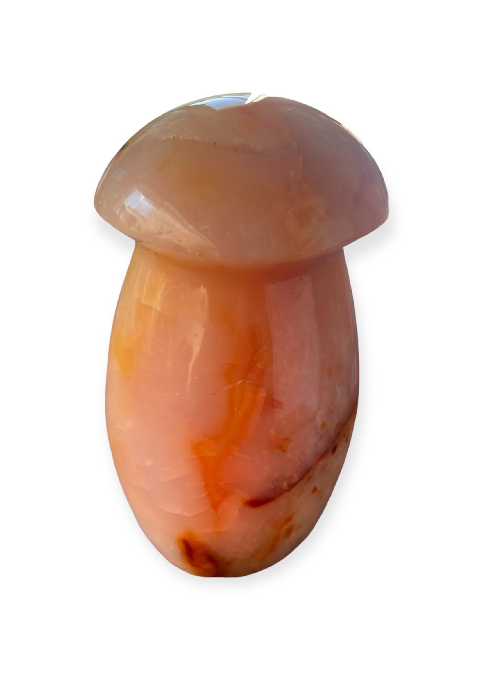 Carnelian Mushroom