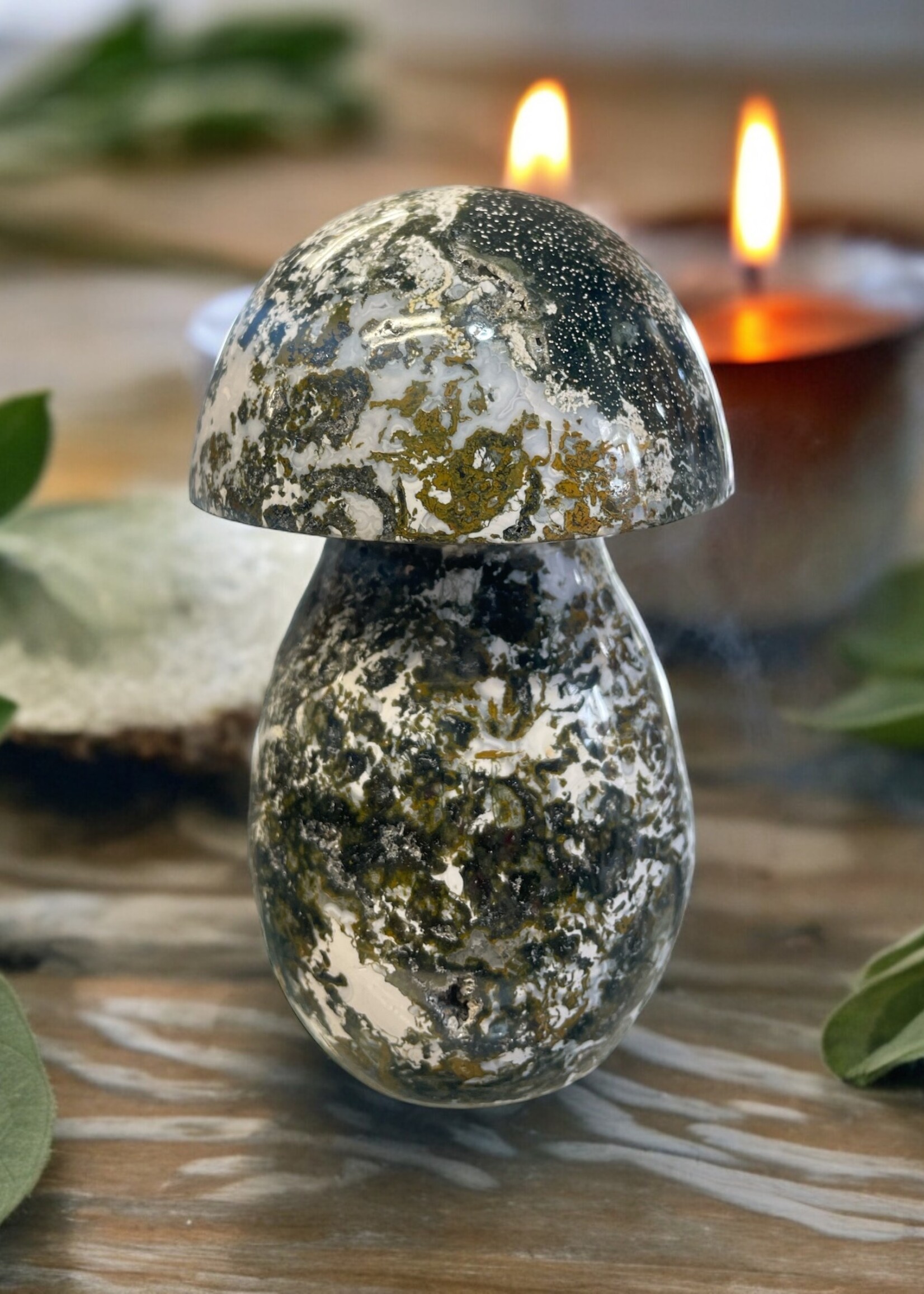 Ocean Jasper Mushroom