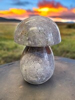 Ocean Jasper Mushroom