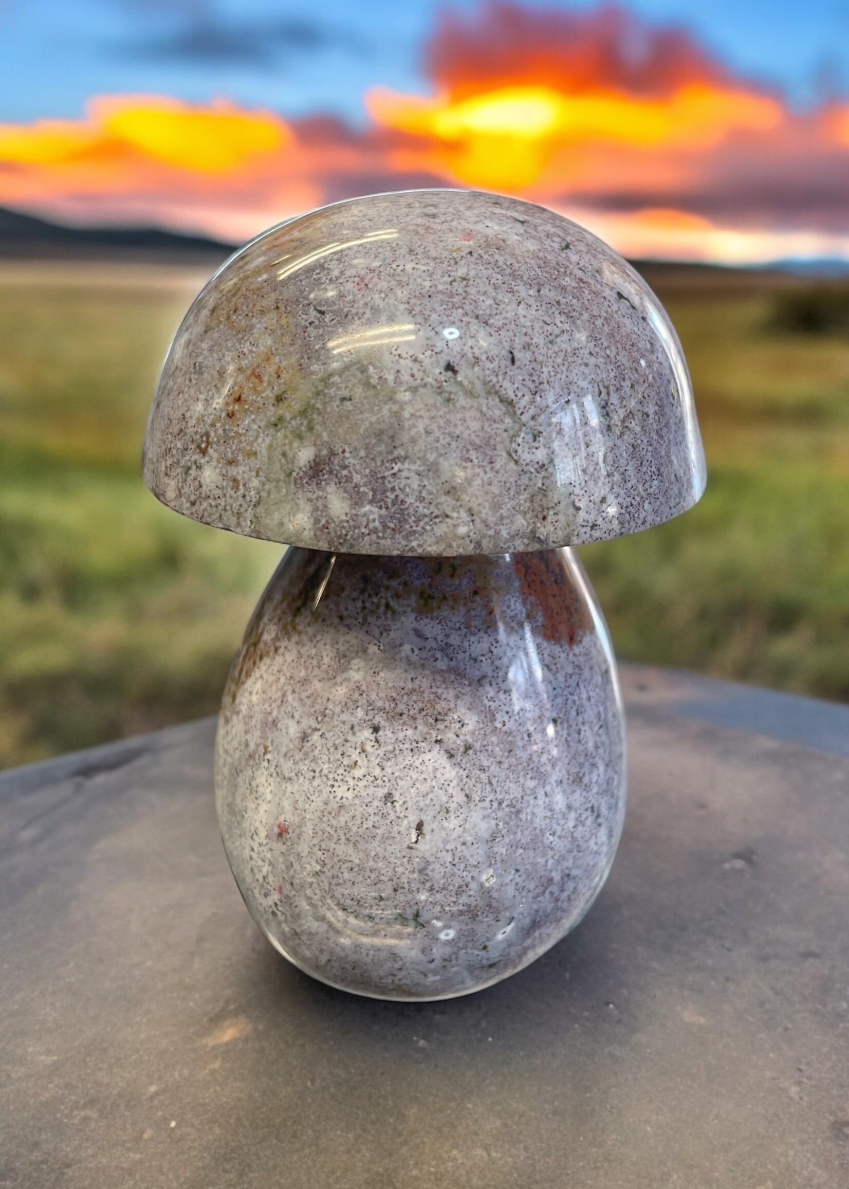 Ocean Jasper Mushroom