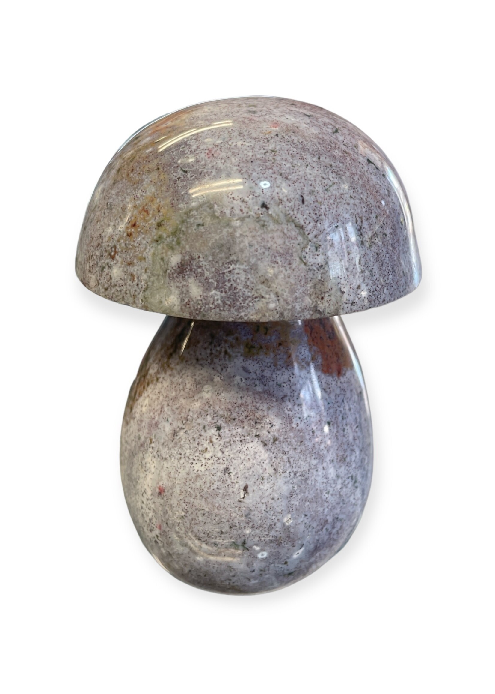 Ocean Jasper Mushroom