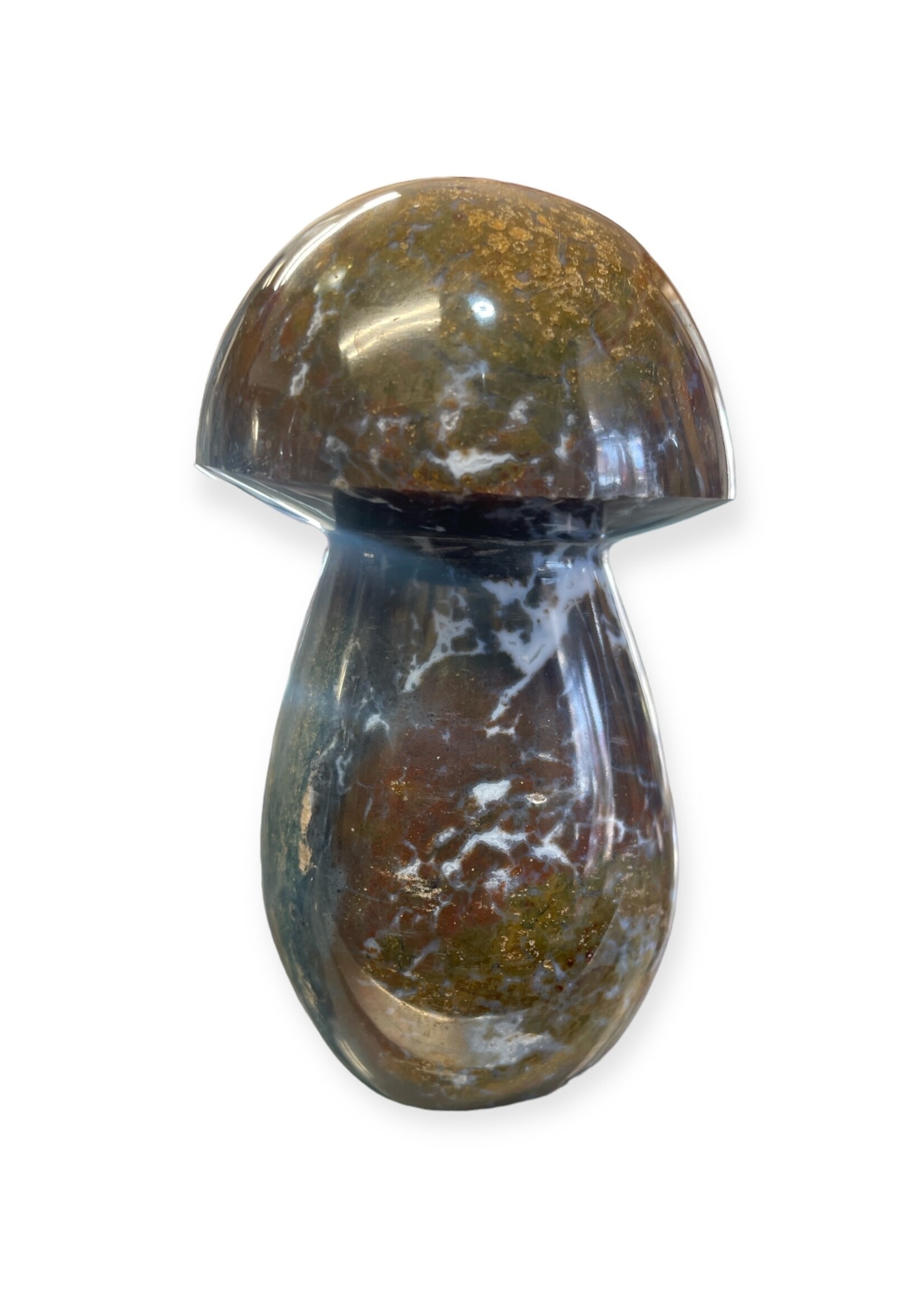 Ocean Jasper Mushroom