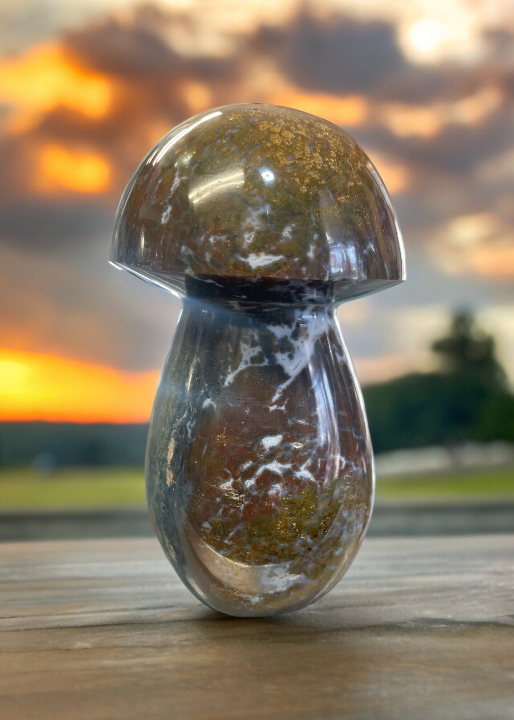 Ocean Jasper Mushroom