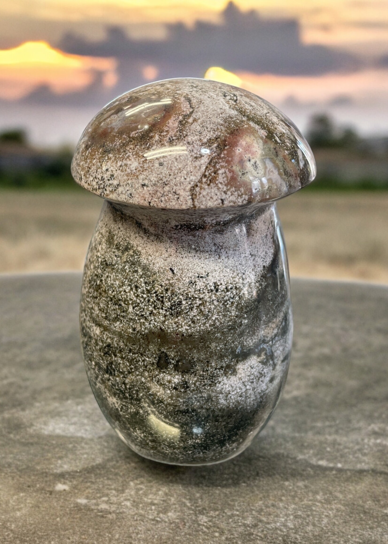 Ocean Jasper Mushroom