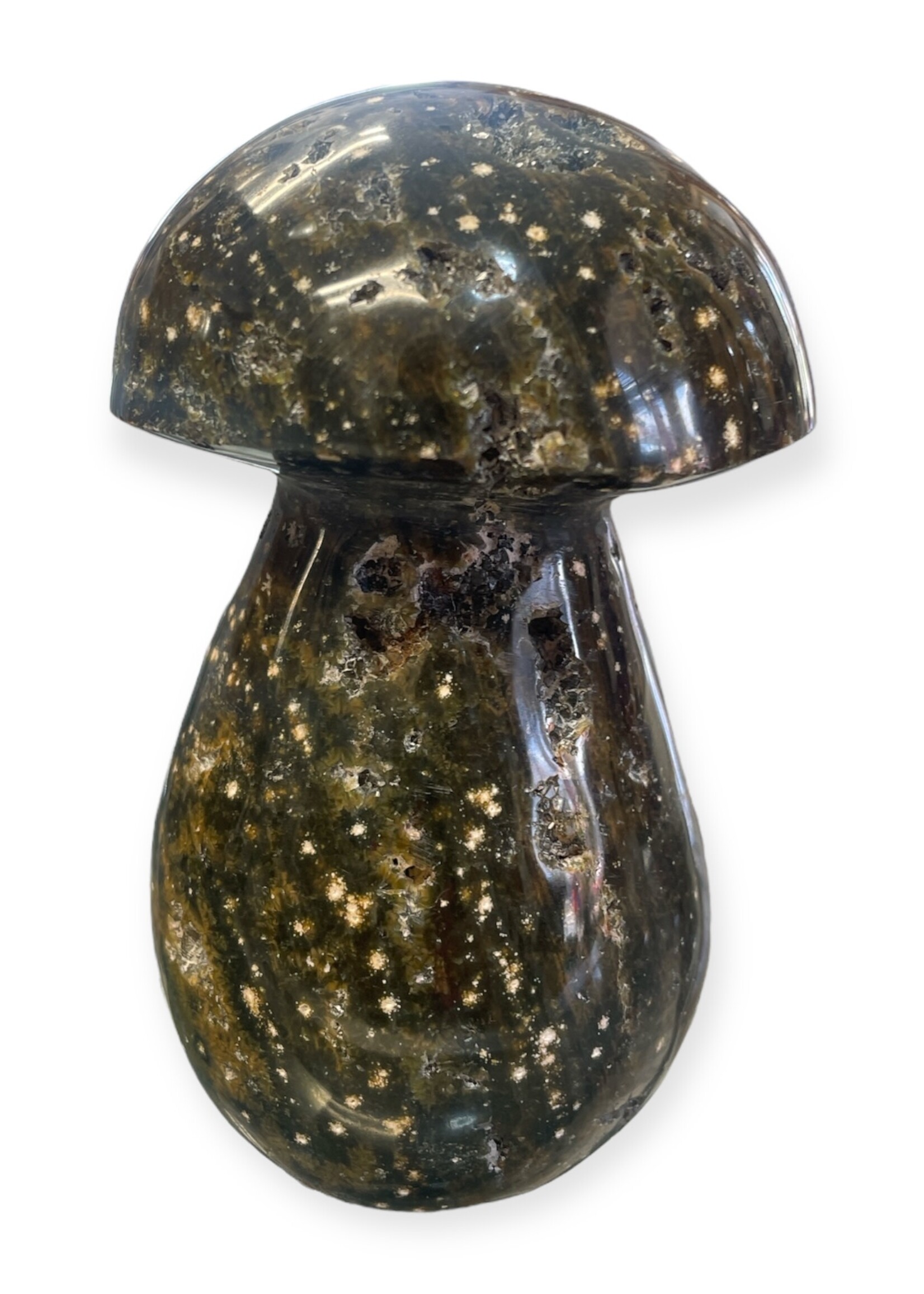 Ocean Jasper Mushroom