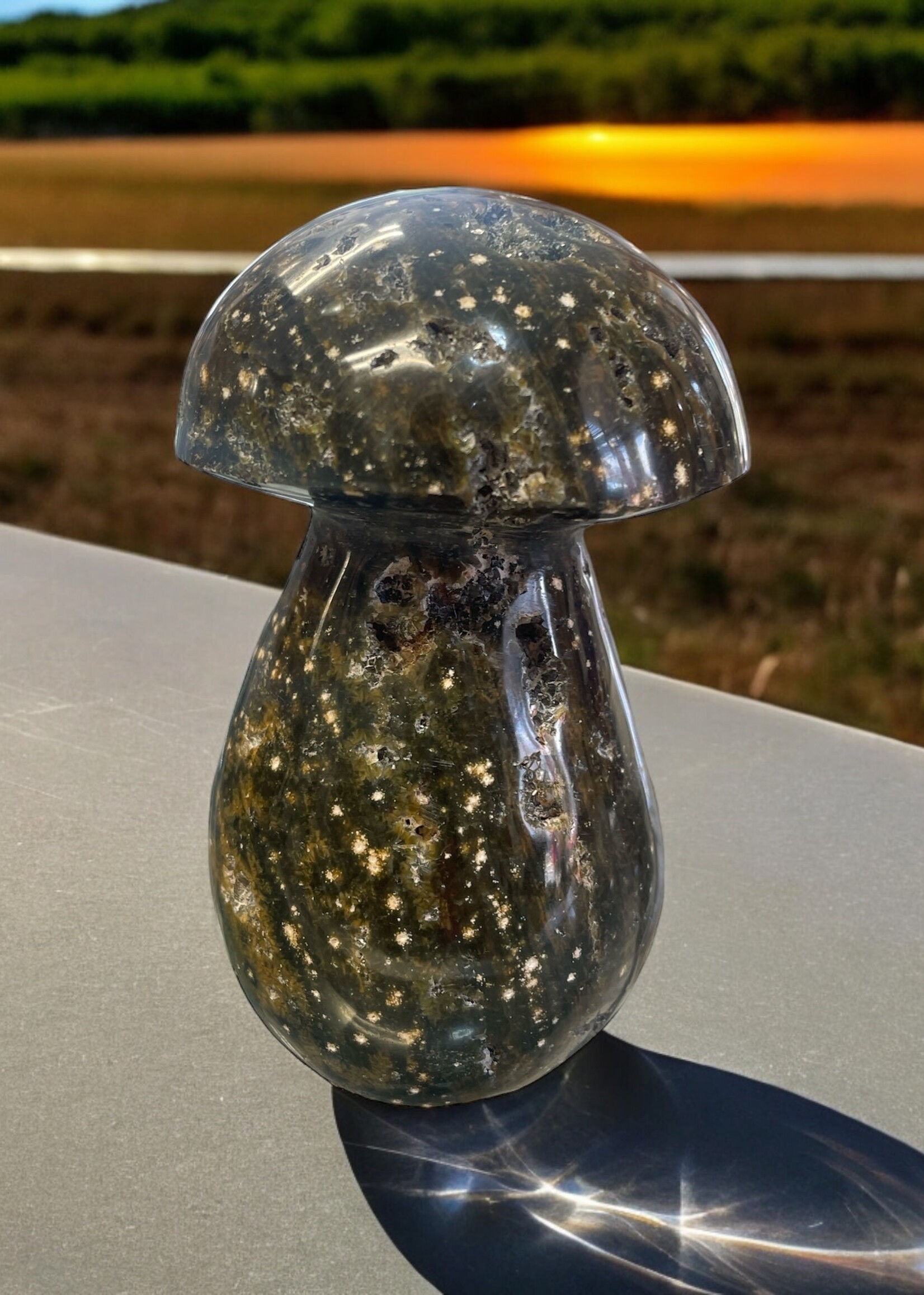 Ocean Jasper Mushroom