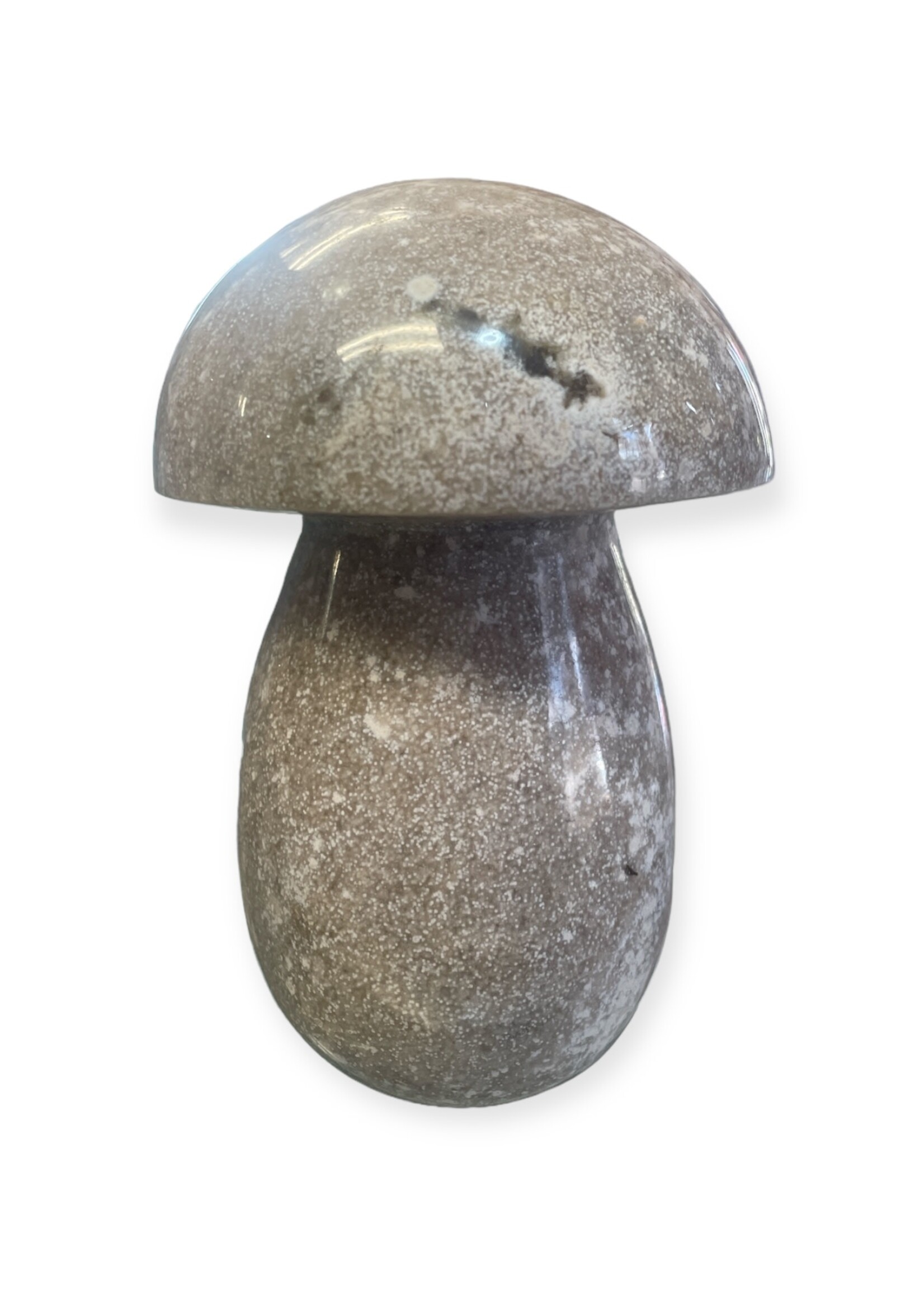 Ocean Jasper Mushroom