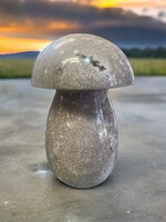 Ocean Jasper Mushroom