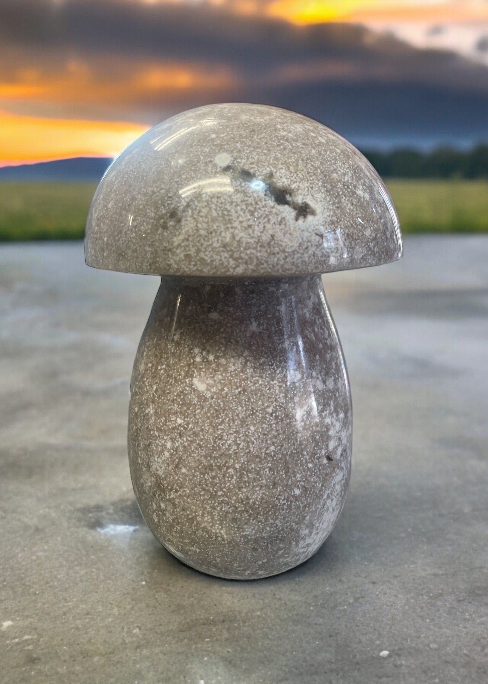 Ocean Jasper Mushroom