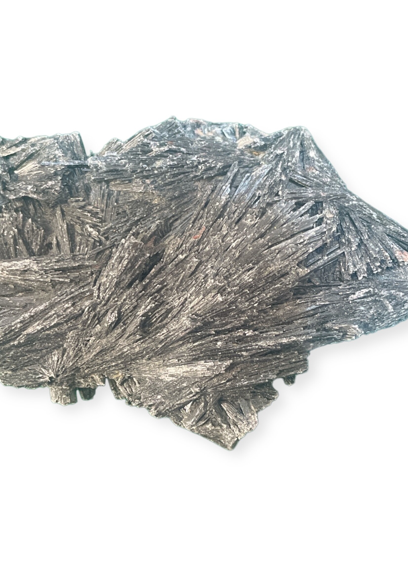 Black Kyanite Rough/Raw