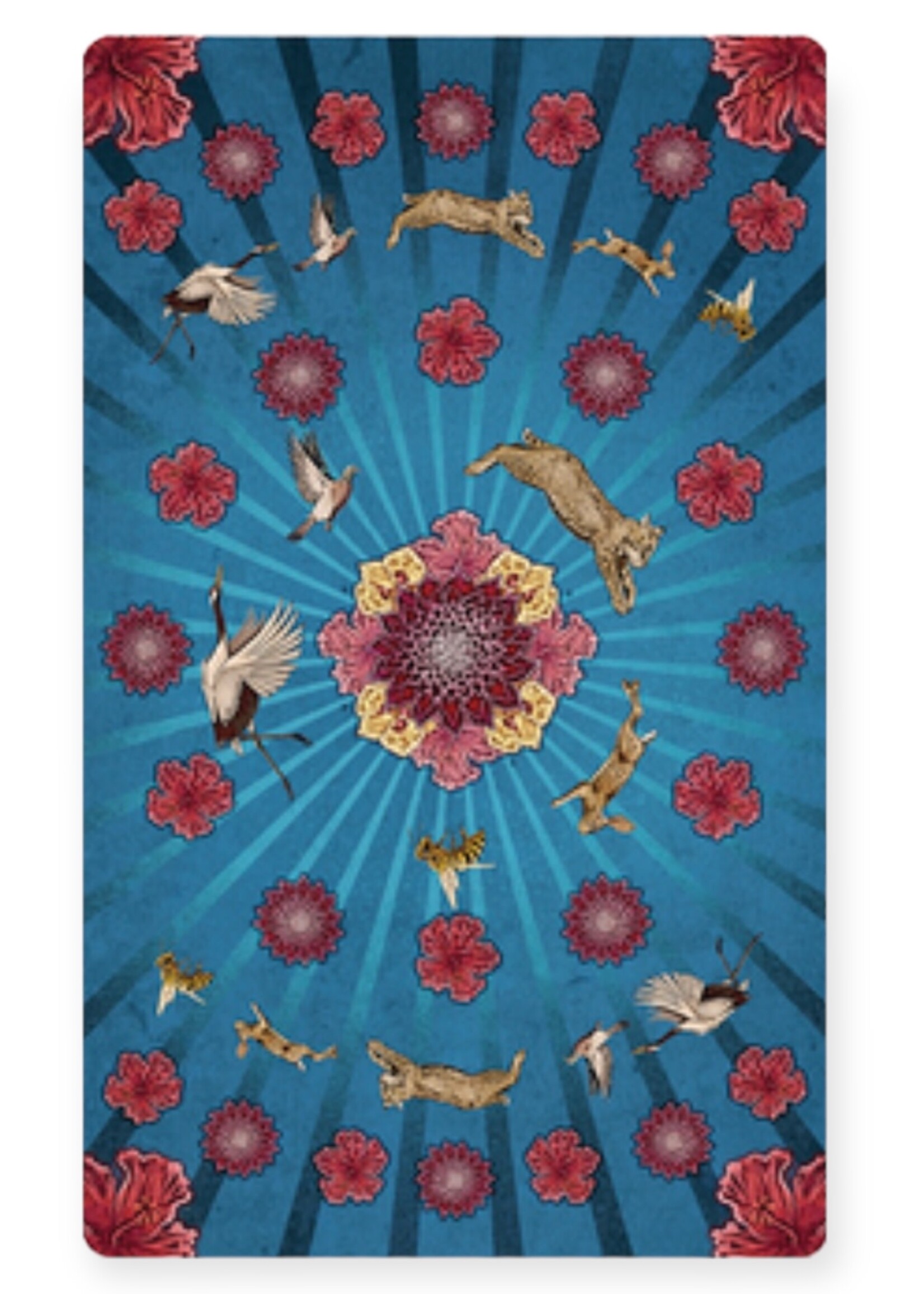 Animal Totem Tarot