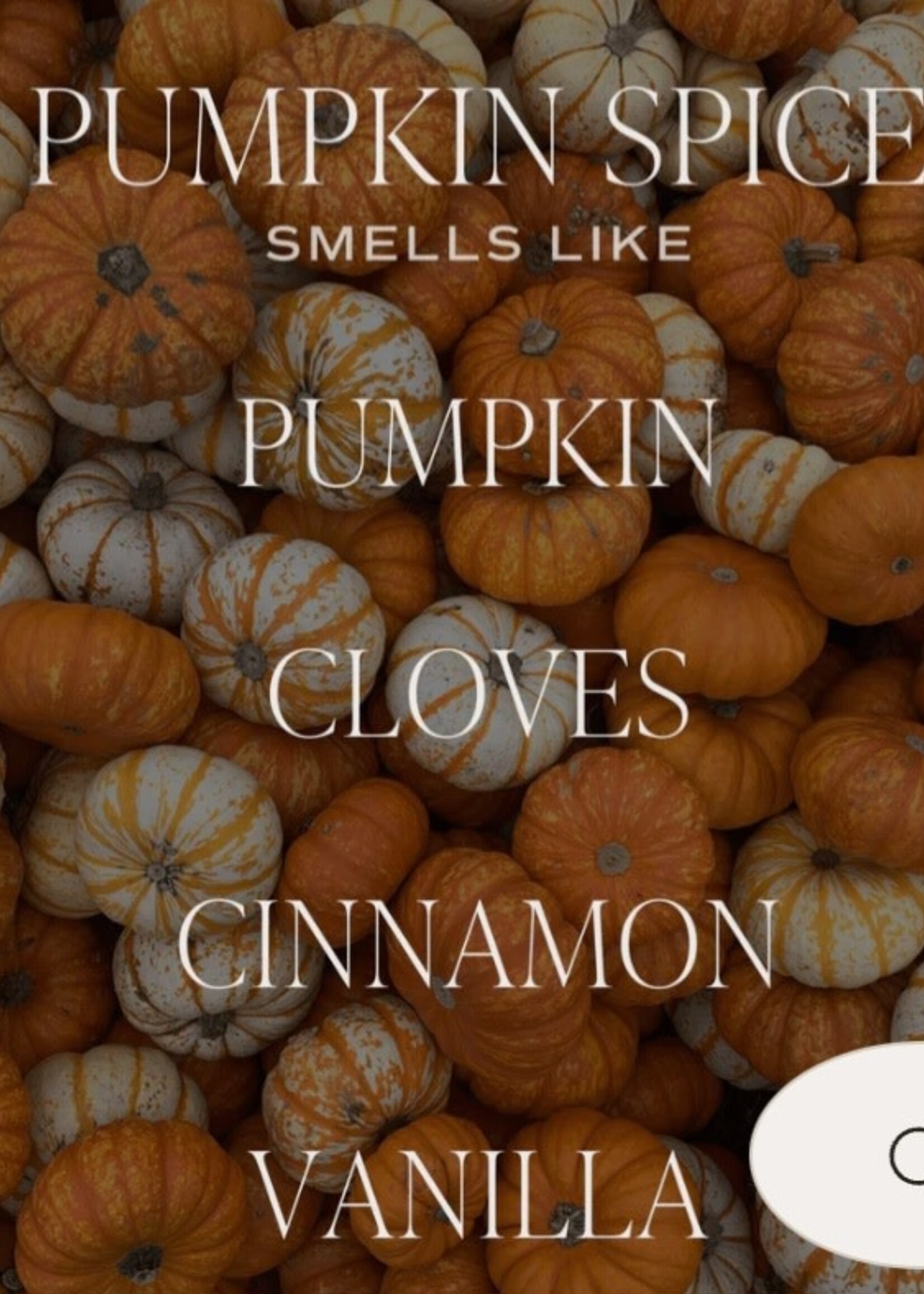 Sweet Water Decor Pumpkin Spice 9 0z candle