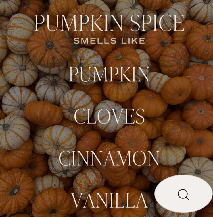 Sweet Water Decor Pumpkin Spice 9 0z candle