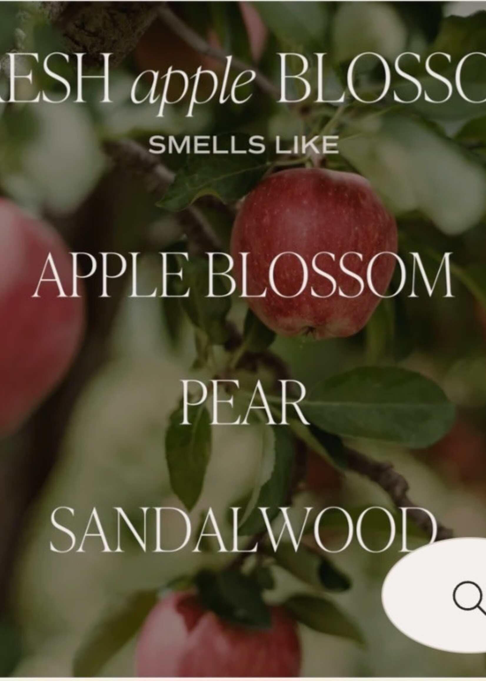Sweet Water Decor Fresh Apple Blossom Candle