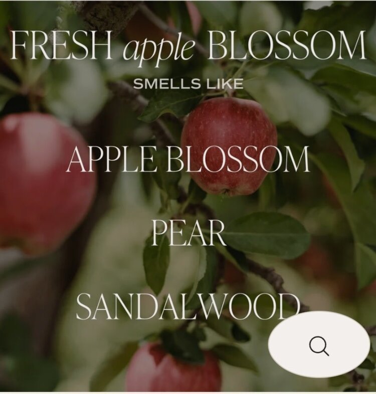 Sweet Water Decor Fresh Apple Blossom Candle