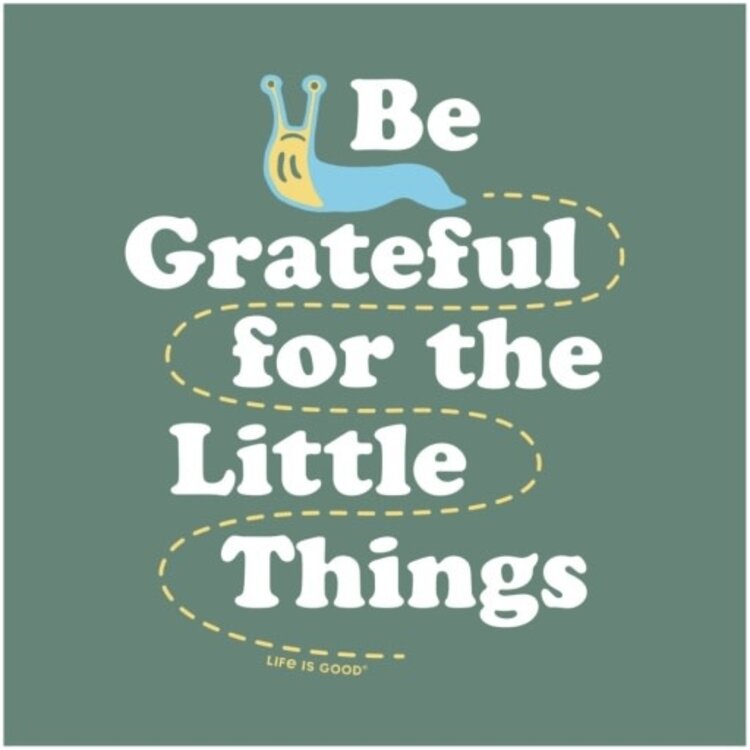 Life is Good BE GRATEFUL FOR THE LITTLE THINGS SLUG L