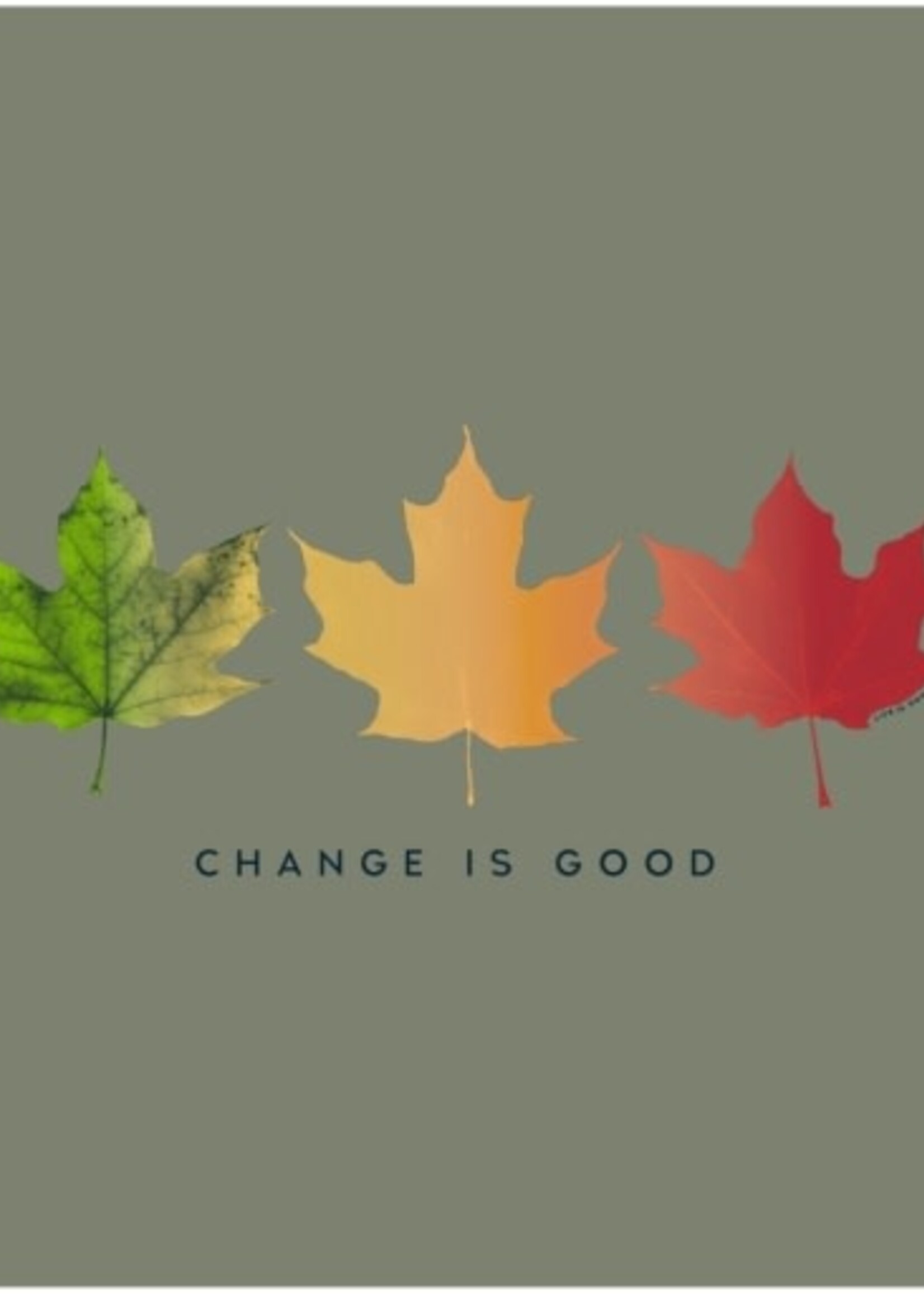 Life is Good WOMEN'S CHANGE IS GOOD 3 LEAVES LONG SLE