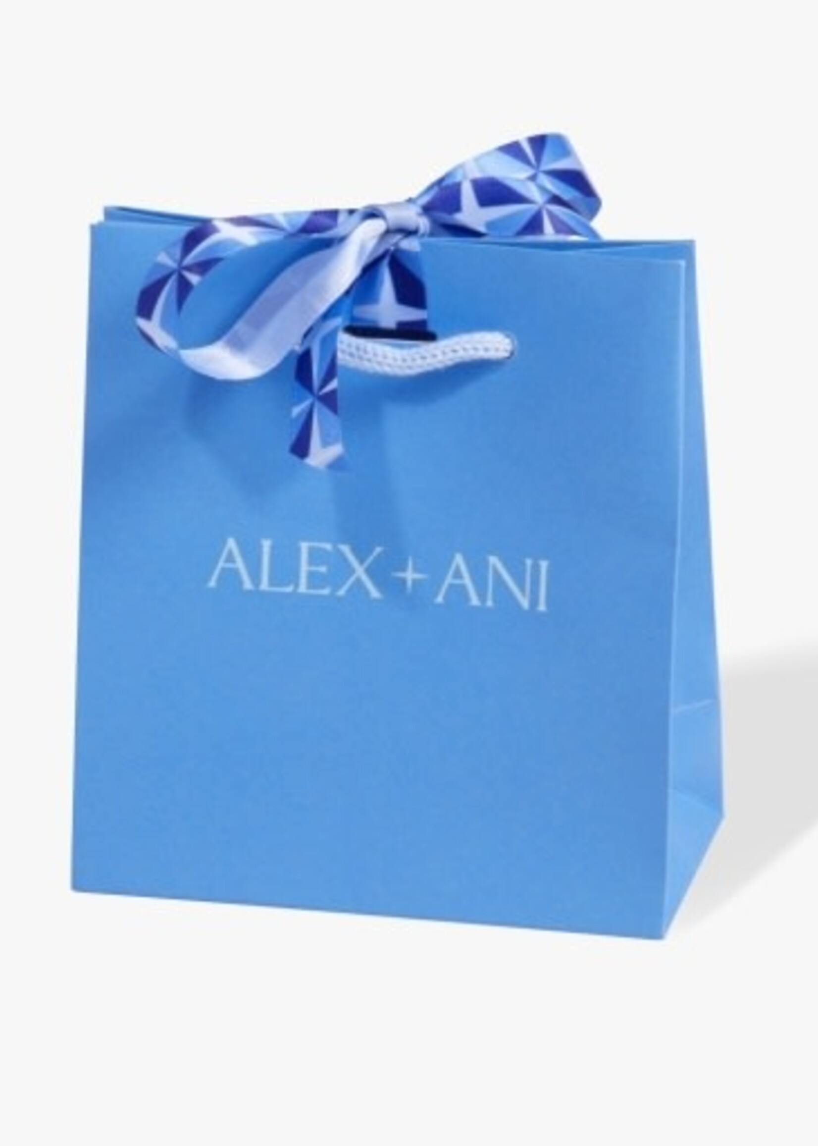ALEX AND ANI classic gift bag