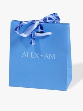 ALEX AND ANI classic gift bag